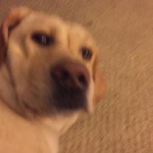 Meet your Posher, Tyler